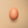 separated Egg