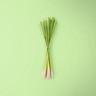 chopped Lemongrass