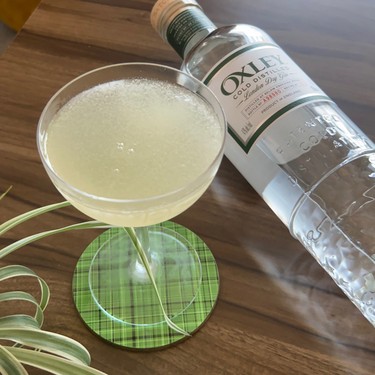 Classic Bees Knees Recipe | MixLab